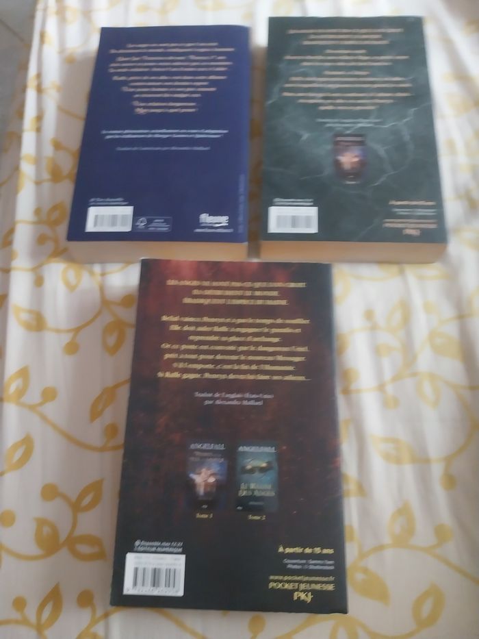 Romans Trilogie complète Angelfall tomes 1 à 3 L'Ultime Espoir Susan Ee - photo numéro 3