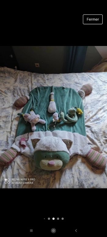 Gros lot pachats moulin roty