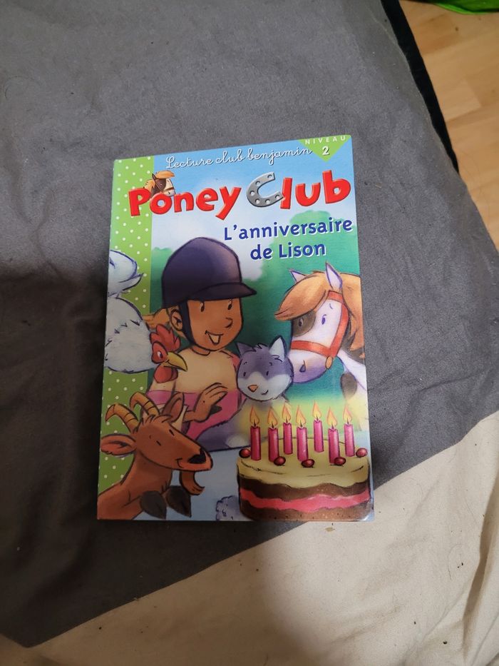 Poney club l anniversaire de Lison