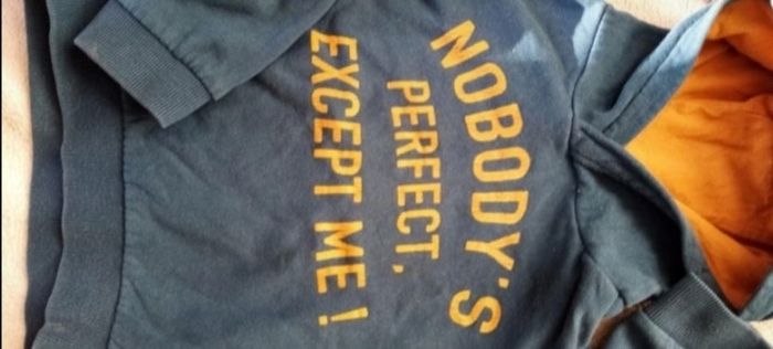 Sweat à capuche - photo numéro 2