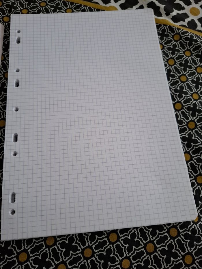 Feuilles simples petits carreaux - photo numéro 2