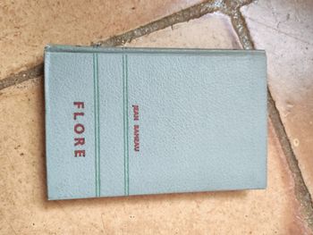 Flore, roman de Jean Rameau