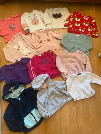 Lot de 13 pulls / sweat-shirt / veste hiver 12 mois