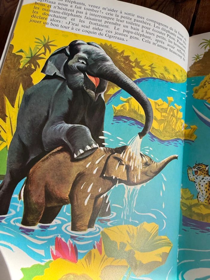 Grand livre ancien très rare Les Aventures de Caroline Pierre Probst Hachette éditions - photo numéro 12