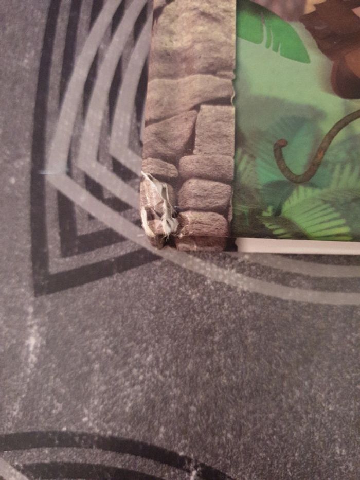 L'aventurier - photo numéro 7