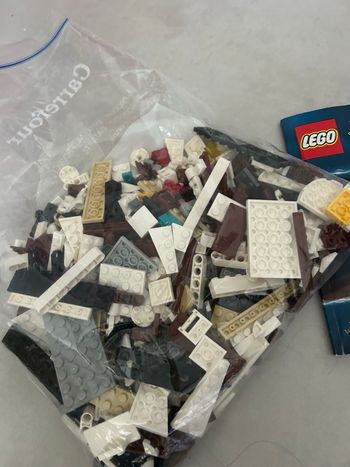 Lego Harry Potter hedwige 75979