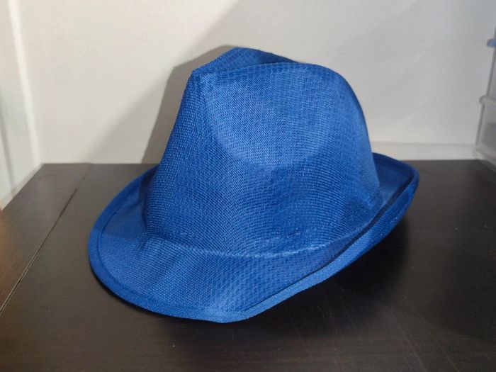 Chapeau borsalino bleu - photo numéro 2