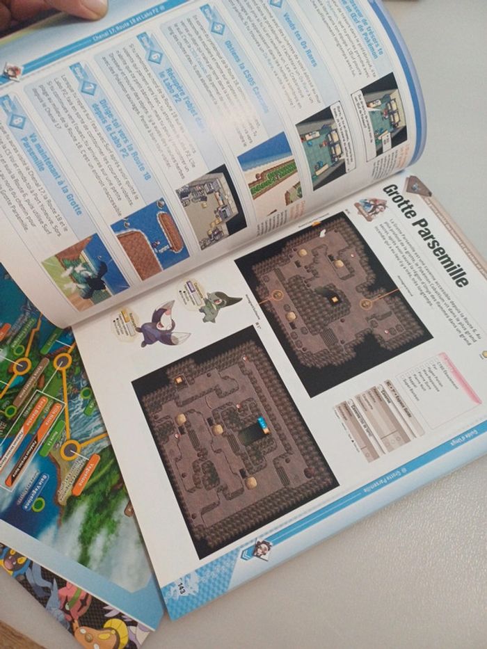 Guide Pokémon Version Noire / Blanche - photo numéro 8
