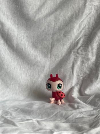 lps coccinelle