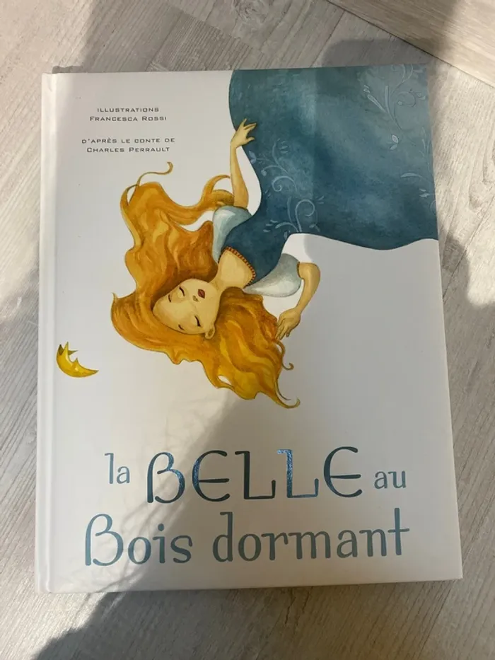 Jolie livre la belle au bois dormant