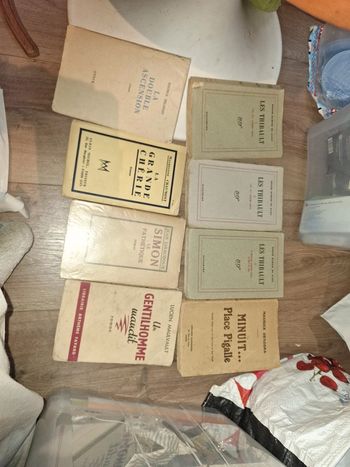 Gros lot d'ancien livre ph