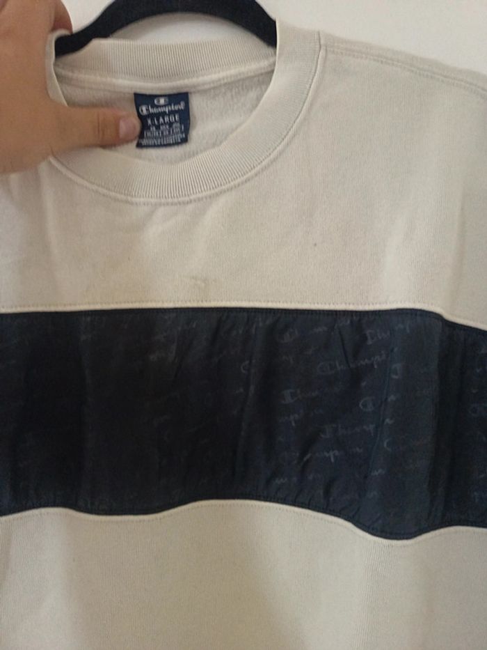 Pull champion - photo numéro 3