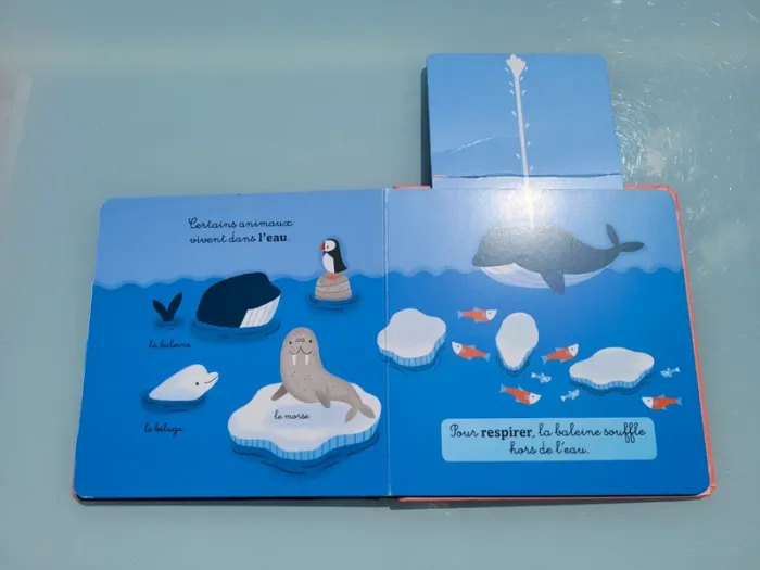 Livre animé à tirettes et roues 🦭 Les Animaux du Froid 🐧 58 - photo numéro 7