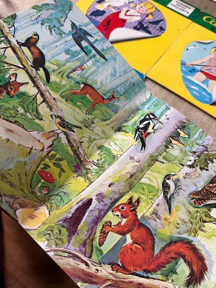 Lot de 4 livres albums autocollants rares Caroline Pierre Probst vintage anciens - photo numéro 7