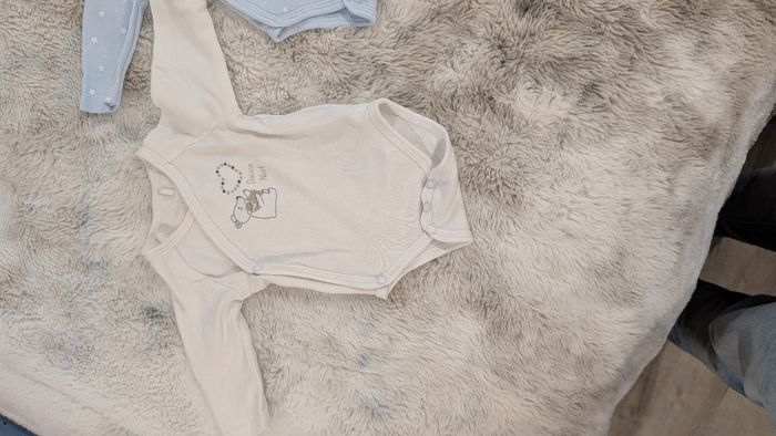 lot de 3 bodies de la marque Mes Petits Cailloux - photo numéro 3