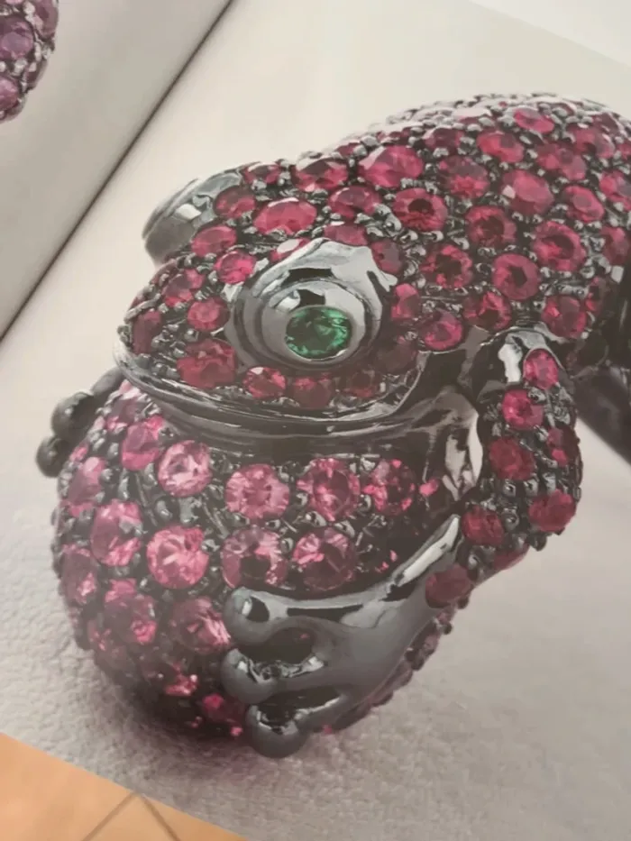 Livre Boucheron la capture de l'éclat - photo numéro 8