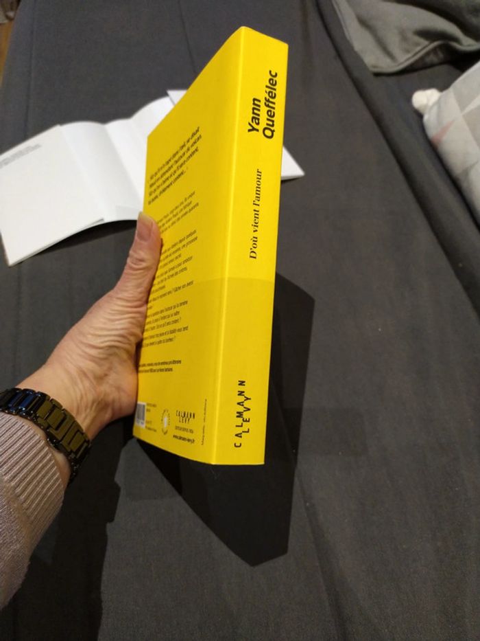 D'où vient l'amour d'Yann Queffelec - photo numéro 3