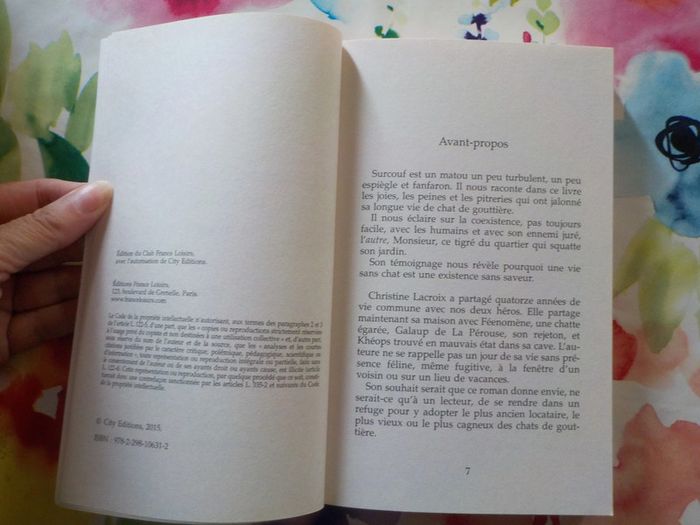 Les fantastiques aventures de Surcouf de Christine Lacroix Ed. France Loisirs - photo numéro 5