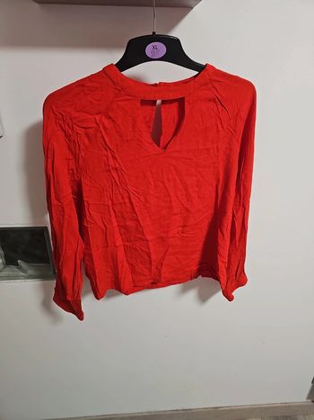 Blouse  manches  longues