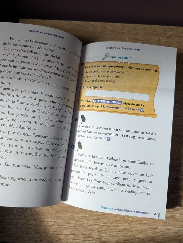 L'énigme de vacances - photo numéro 3