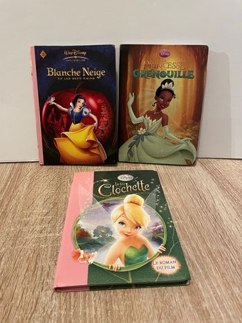 Livre Disney princesse