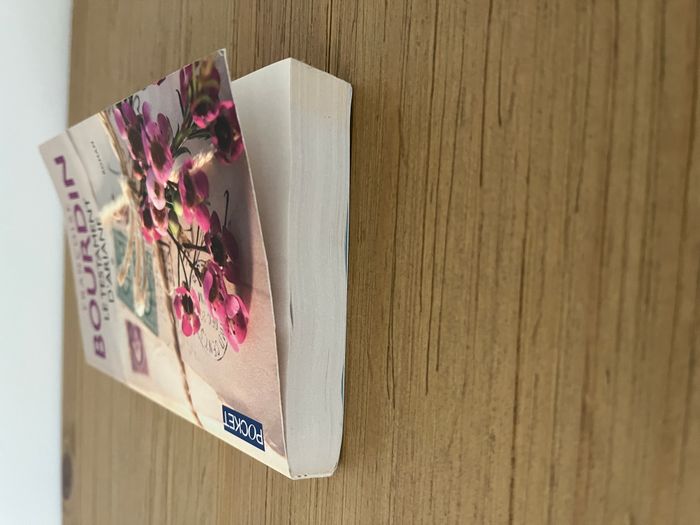 Le testament d'Ariane - Françoise Bourdin - photo numéro 4