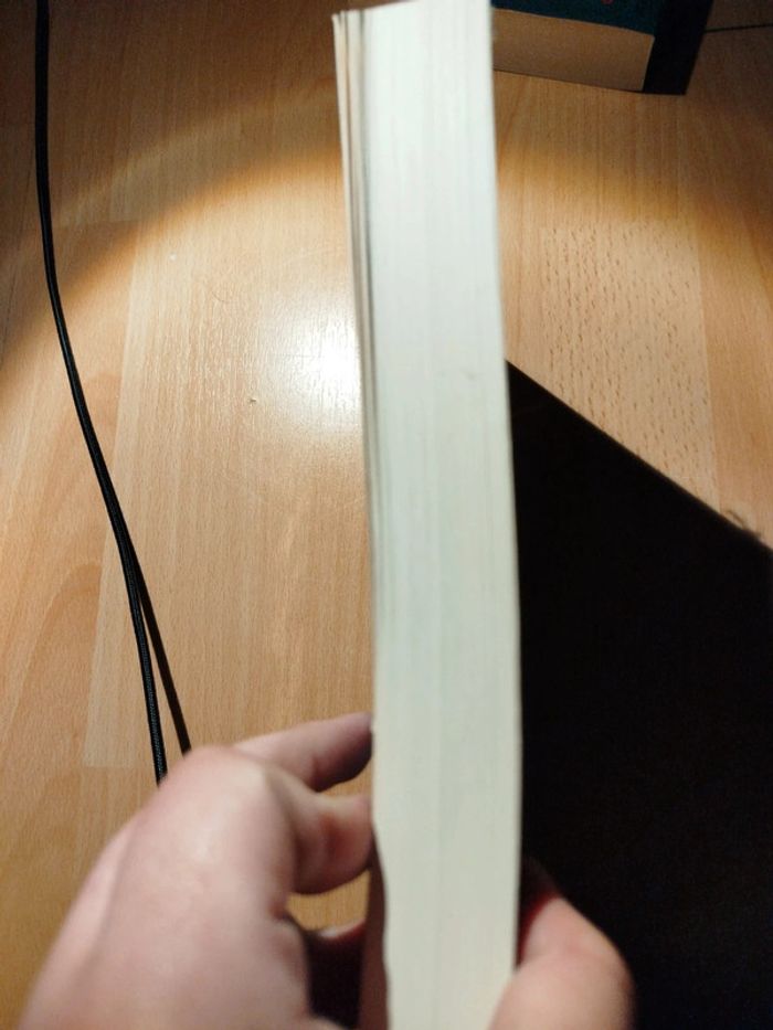 Roman protège la - photo numéro 4