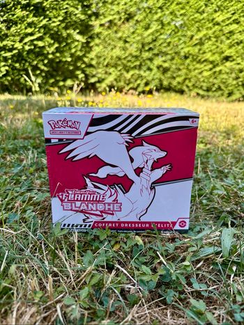Pokémon etb ev10.5 flamme blanche