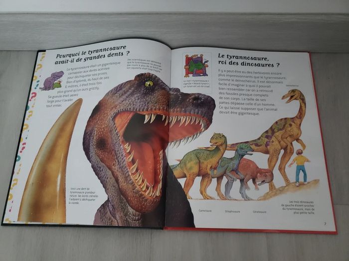 Livre au temps des dinosaures Questions Réponses - photo numéro 9