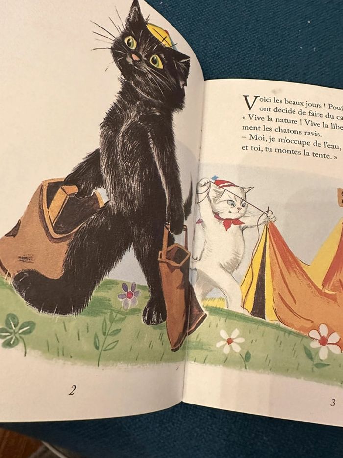 Album Pouf et Noiraud campeurs Pierre Probst (auteur Caroline) Petit livre d’argent - photo numéro 6