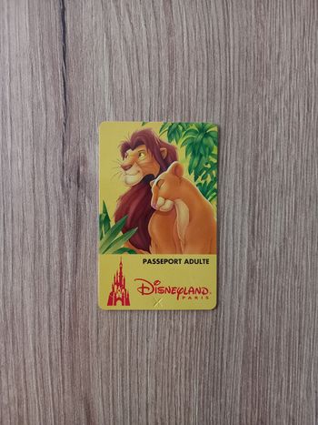 Passeport " Disneyland Paris "