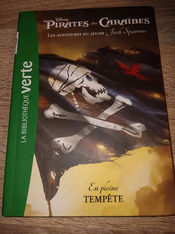 Pirates des caraïbes