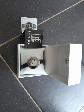 Montre Pierre Lannier