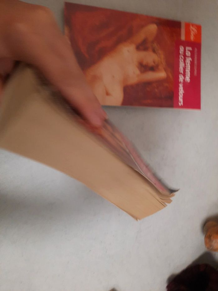 Lot 2 livre femme - photo numéro 4