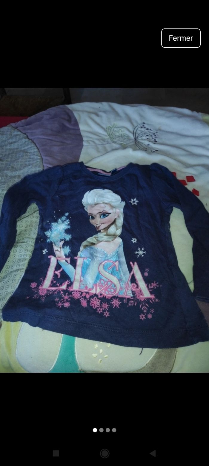 Haut reine des neiges e85