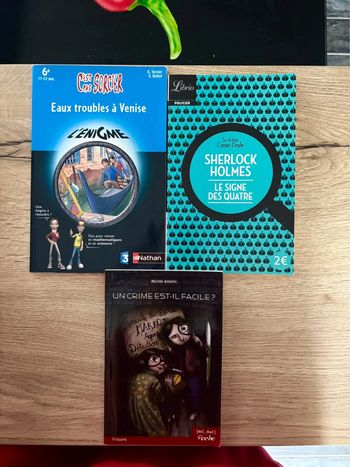 Lot de livres Énigmes pour enfants