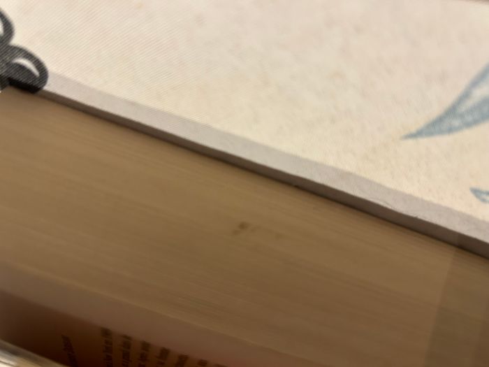 Acacia II - Terres étrangères - photo numéro 6