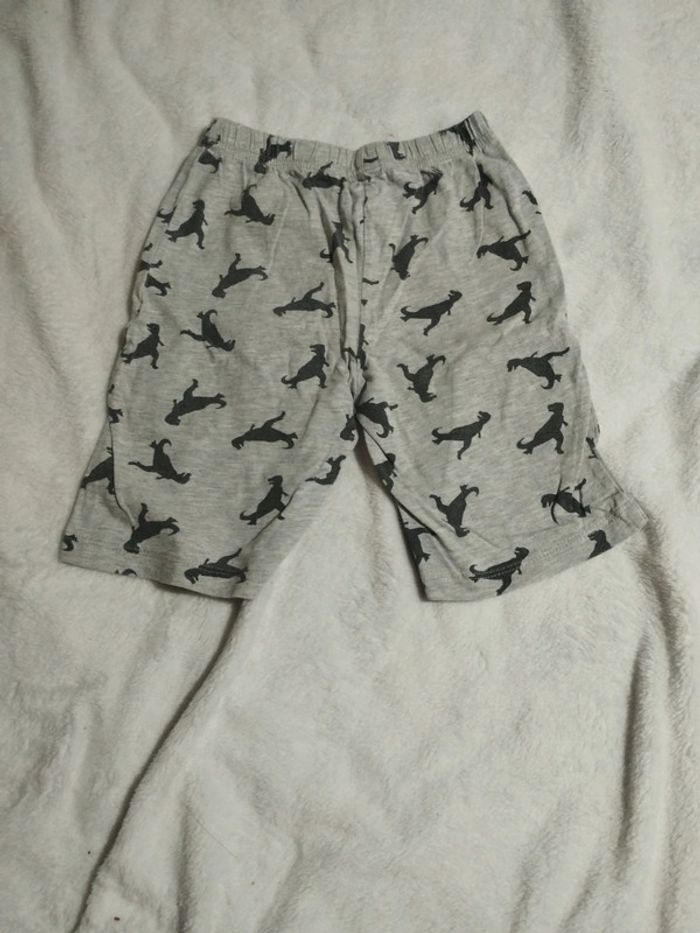 Short dinosaure - photo numéro 2