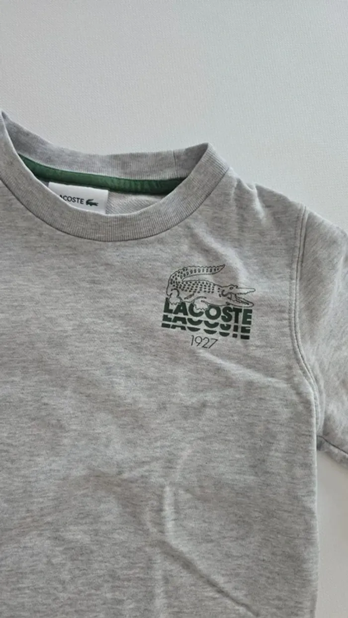 Sweat lacoste gris - photo numéro 3