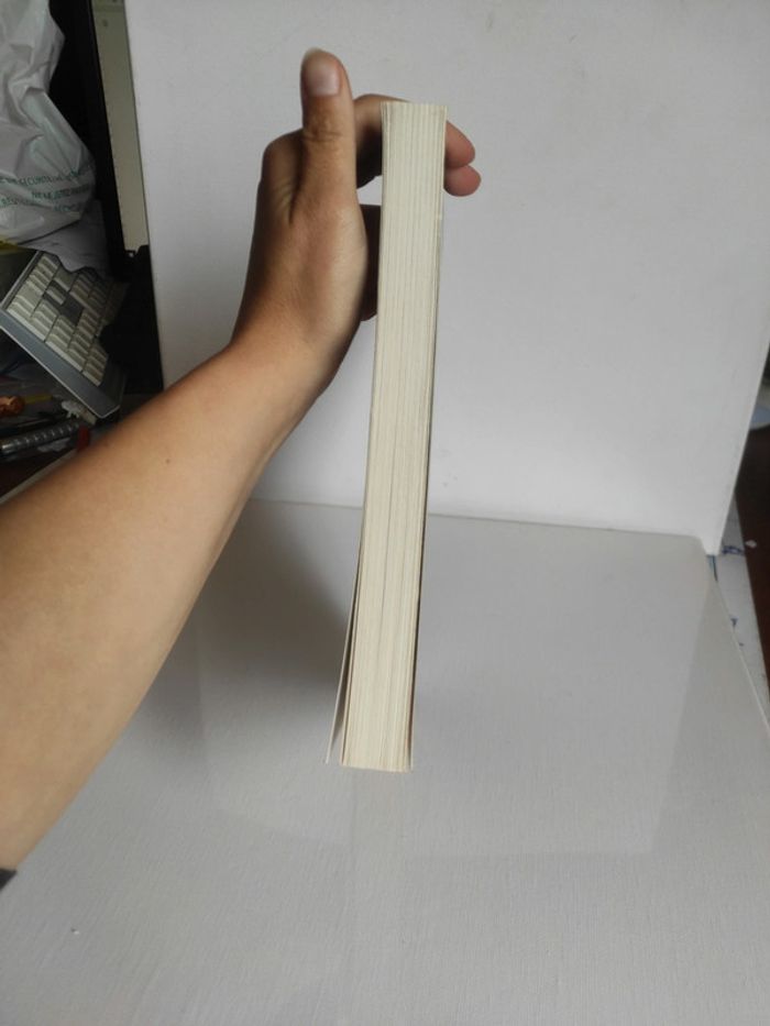 Livre grand format Micah tome 13 de la série anita blake - photo numéro 5