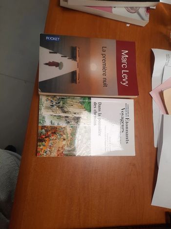 Lot de 2 livres poches