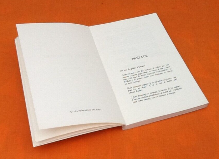 André Ledur (Poèmes) Roses et Rosses (1965) Les Editions John Didier - photo numéro 3