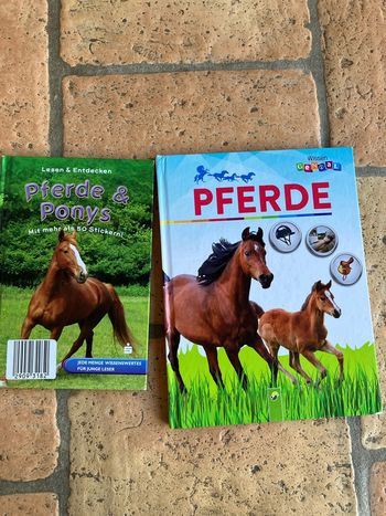 Pferde Bücher