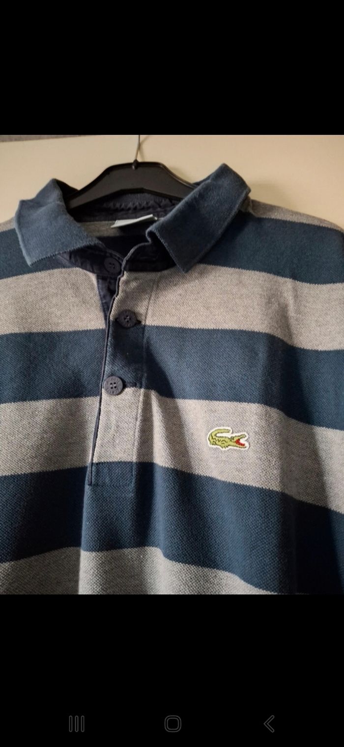 Polo lacoste