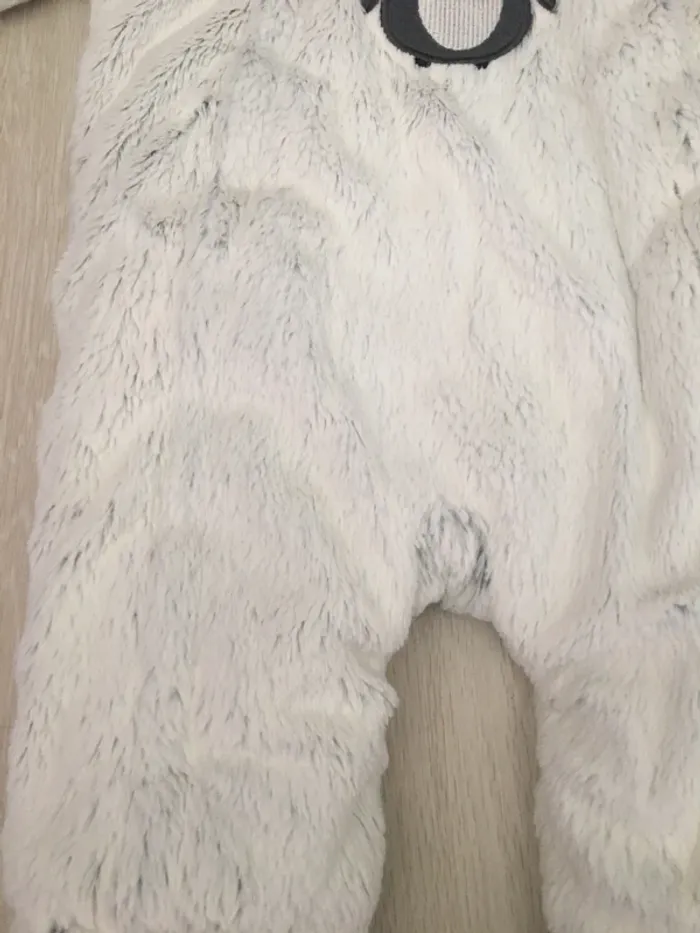 Combipilote orchestra 9 mois - photo numéro 6