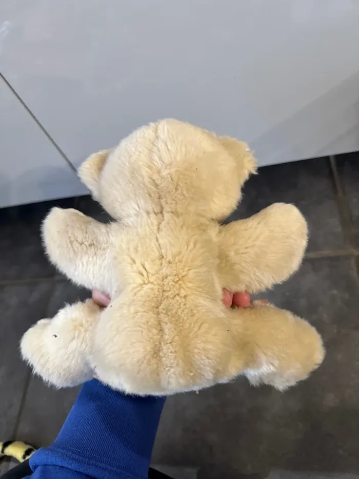 Peluche ours - photo numéro 3