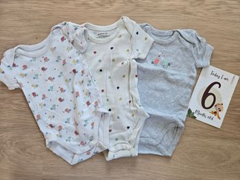 lot de 3 bodies été 6 mois