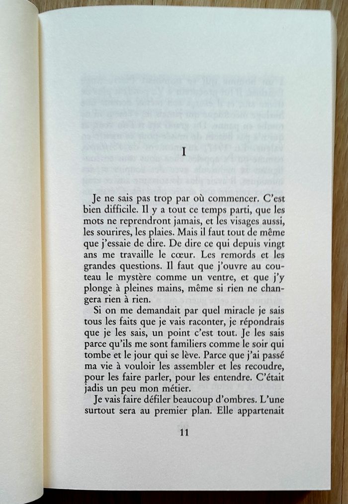Philippe Claudel - les âmes grises - photo numéro 4