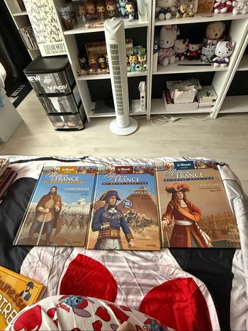 Lot livres histoires de France