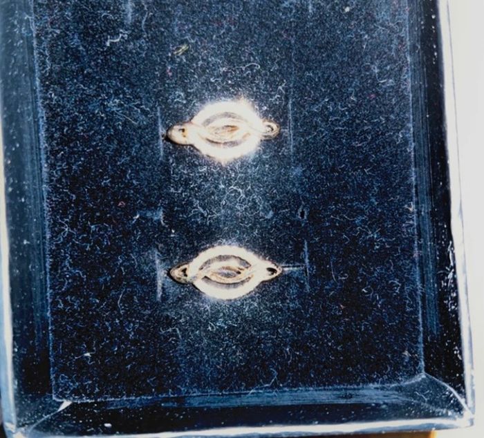 Belle paire de boucle d'oreille couleur doré et strass neuves - photo numéro 3